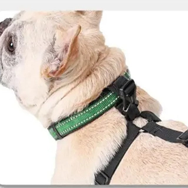Bretelles des bottes NordPaw attachées au collier du chien