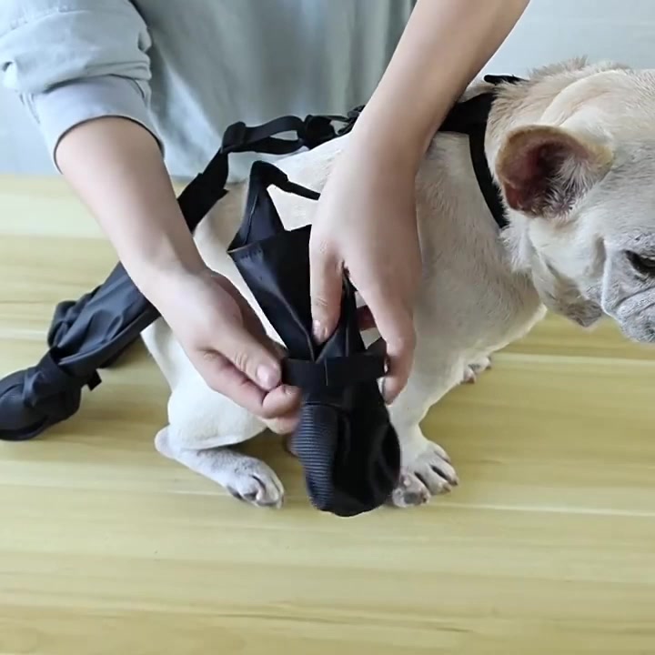 Étape 1 : glisser les pattes du chien dans les bottes NordPaw