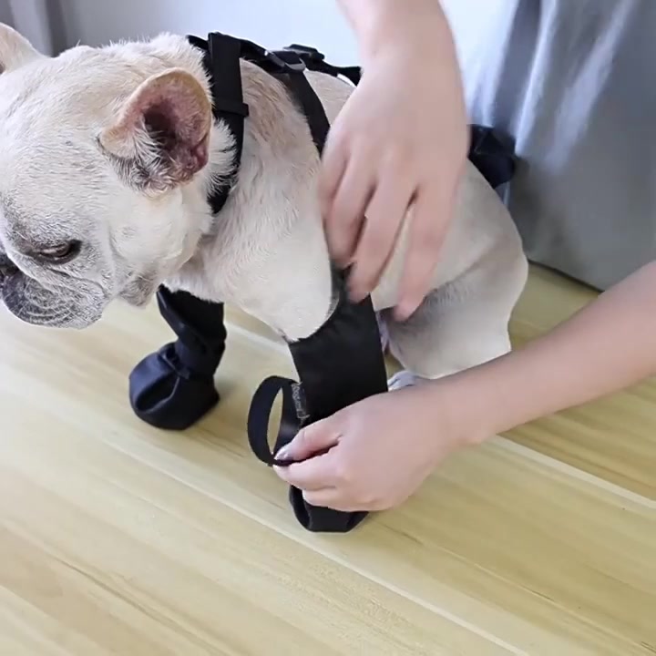 Étape 2 : serrer le velcro des bottes NordPaw