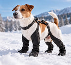 Jack russell avec les bottes à bretelles NordPaw dans la neige